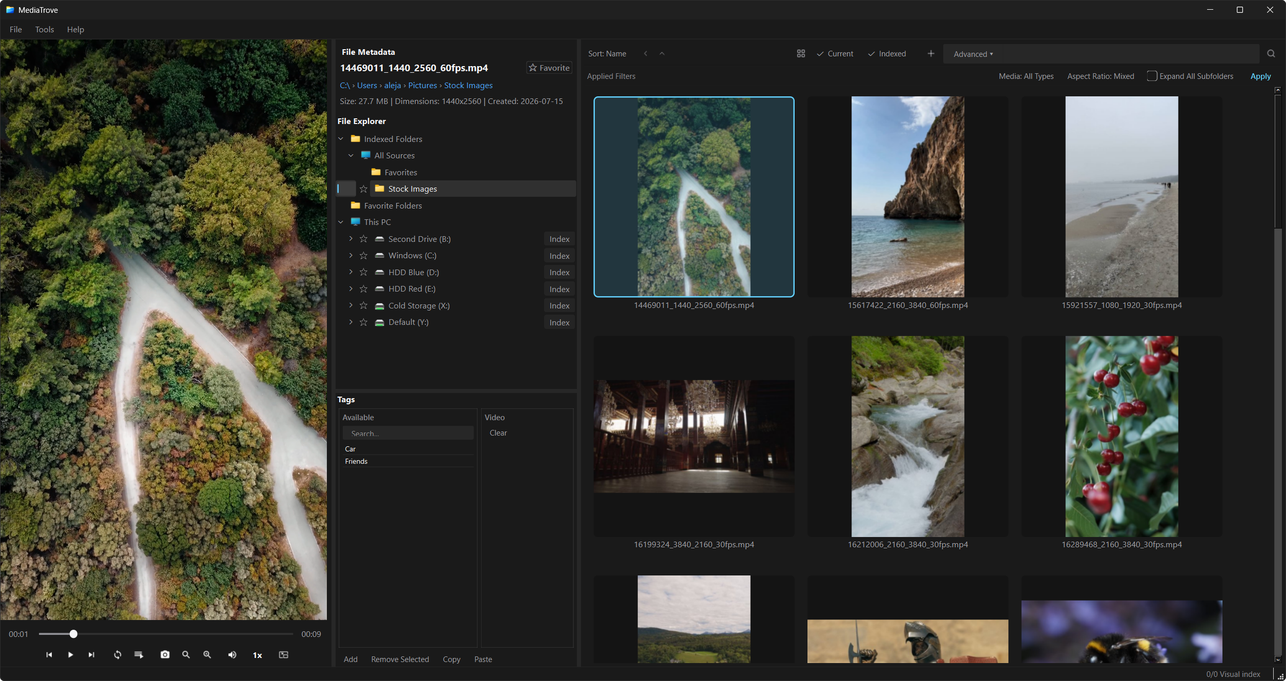 MediaTrove main window: preview, File Explorer, and media grid